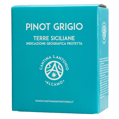 Pinot grigio Pinot grigio